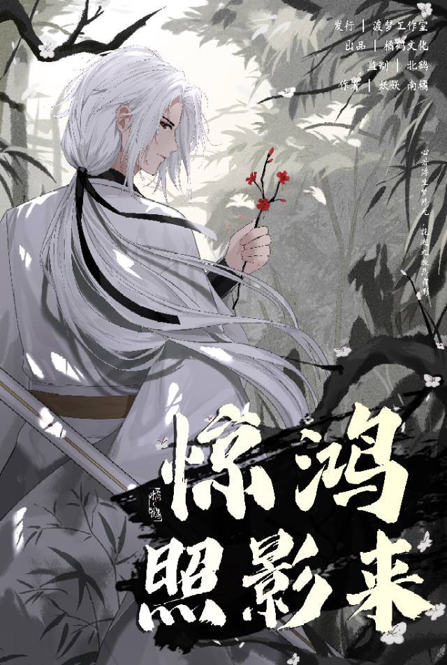 惊鸿照影来